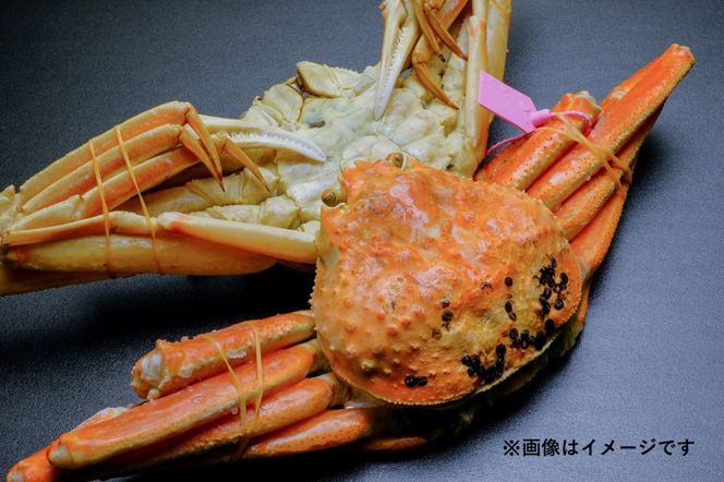 【蟹の匠 魚政】魚政BLACK 茹でズワイガニ〈急速冷凍〉大サイズ 1杯【姿のまま】カニ酢付き　UO01328