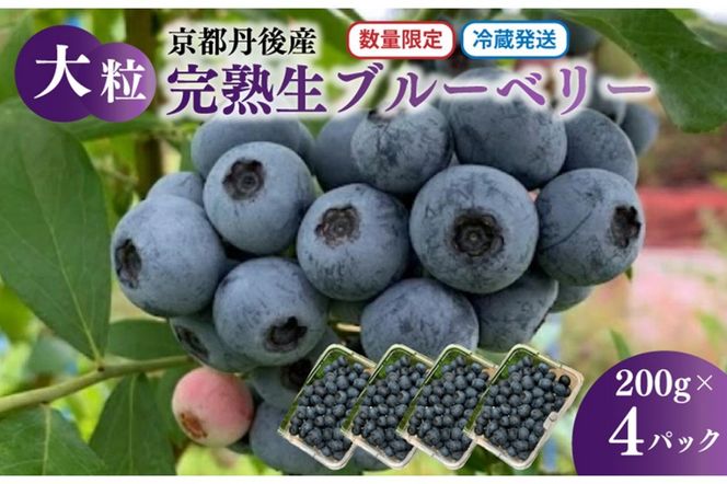 ys{Oszys\^ʌ40zY 嗱nu[x[  200g×4pbNi͔|Ԓ_Ew엿Eܕsgpji2026N7{`j@KU00069