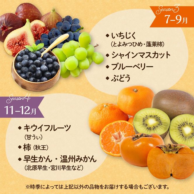 何が届くかお楽しみ！むなかた旬のフルーツ福袋セット【JAほたるの里】_HA1541