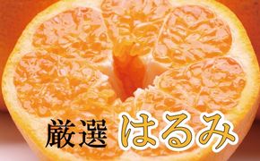 ＜先行予約＞厳選はるみ3.5kg+105g（傷み補償分）【デコポンの姉妹品種・新食感春みかん】【光センサー選別】※2024年2月上旬～3月下旬ごろに順次発送【ikd050C】