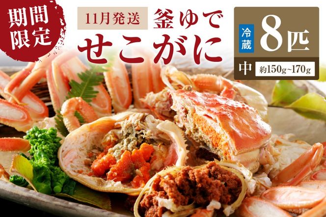 【期間限定・冬の味覚！】釜ゆでせこがに 中サイズ（150ｇ～170ｇ） 8匹入り （11月発送）／北畿水産 蟹 魚介類 魚介 せこかに ふるさと納税 かに　HK00278
