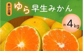 【先行予約】＼光センサー選別／＼農家直送／甘くて濃厚！希少品種 ご家庭用 ゆら早生みかん　約4kg 　サイズ混合【2025年10月上旬頃より順次発送】【nuk162A】