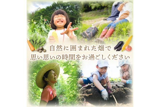 オーガニックファームでのんびり過ごそう！収穫体験&お土産付き(2名様分) BR00017
