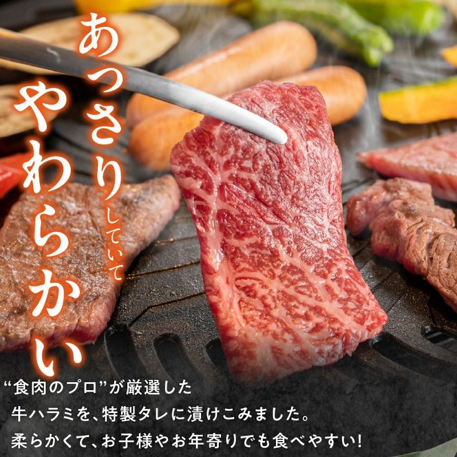 【食肉総合卸 丸正】牛ハラミ味付け1.2ｋｇ［153M02］【食肉総合卸 丸正】牛ハラミ味付け1.2kg 焼き肉 牛横隔膜 食卓 晩ごはん おつまみ おかず あっさり 冷凍 食肉のプロ 秘伝のタレ お取り寄せ お取り寄せグルメ 愛知県 小牧市 送料無料
