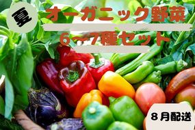 【先行予約：8月配送】＜てんとうむしばたけ＞夏のオーガニック野菜セット　有機野菜6～7種前後　BR00057_08