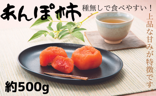 ya̎RI쒬zIB炬R̂ۊ`@ϔ@500g@2026N1{ɏ\i͂wsj / ` ʕ t[c  s\ yuot736z