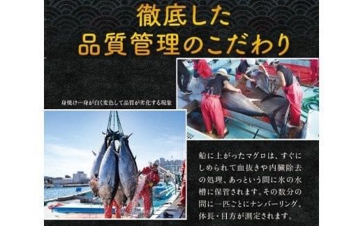 本マグロ（養殖）トロ＆赤身セット 500g 【6月発送】 / 高級 クロマグロ 中トロ 中とろ まぐろ マグロ 鮪 刺身 赤身 柵 じゃばらまぐろ 本マグロ 本鮪 【nks110D-6】