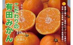 【農家直送】有田みかん　約10kg  大玉3L以上　有機質肥料100%　※2025年12月初旬～1月中旬ごろ順次発送(お届け日指定不可)/ミカン 蜜柑 柑橘 フルーツ くだもの 果物 早生 温州 有田 【nuk139E】
