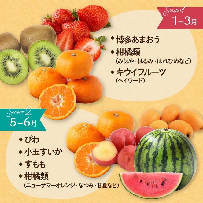 何が届くかお楽しみ！むなかた旬のフルーツ福袋セット【JAほたるの里】_HA1541
