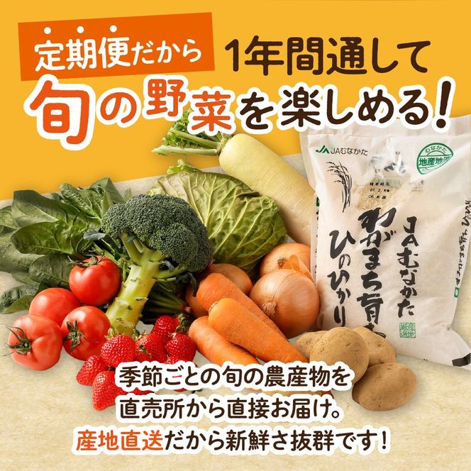【定期便／年12回／毎月お届け】むなかた旬のお任せセット(野菜・フルーツ・お米／9～11品)【ほたるの里】_HB0029