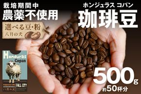 【栽培期間中農薬不使用】自家焙煎コーヒー豆 ホンジュラス　コパン 500g（250g×2） 約50杯分 小分け　豆・粉 選べる　HA00025