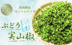  冷凍 ぶどう 生実山椒 250g / 山椒 さんしょう 香辛料 調味料 薬味 冷凍 ぶどう山椒 生山椒 和歌山県 紀美野町 生実山椒【twn020A】