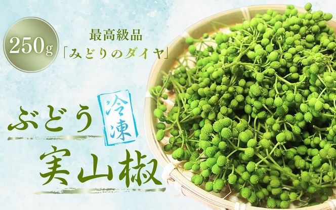 ya̎RI쒬zⓀ Ԃǂ R 250g / R 񂵂傤 h   Ⓚ ԂǂR R a̎R I쒬 Rytwn020Az