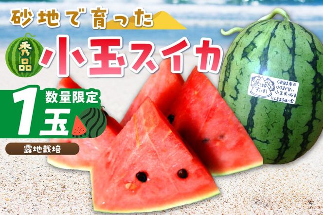 ys{Oszys\^ʌ200zɂ܂XCJ Gi 1ʓiIn͔|ji2026N7{甭j@FR00012