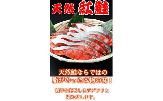  【天然鮭使用】大ボリューム！こだわり仕込の天然紅サケ切身 約1kg / 鮭 サケ 切り身 冷凍 おかず 人気 【uot715C】