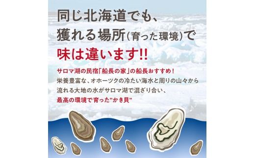 【予約：2025年11月中旬から順次発送】サロマ湖自慢の殻付きカキ貝 2年物 大 20個 ( 牡蠣 かき 濃厚 大きい 魚介類 貝類 殻付 殻付き牡蠣 BBQ バーベキュー )【114-0045】