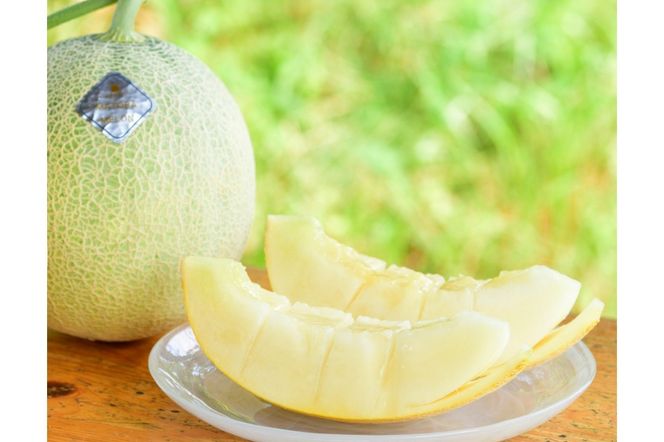 【先行予約】 年間生産量200玉の最上級メロン「新芳露-幻-」（2026年7月下旬～発送）　DE00168