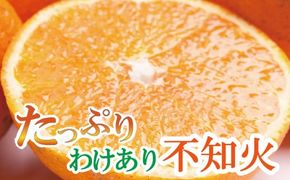 家庭用　不知火 6kg+180g（傷み補償分）【デコポンと同品種】【わけあり・訳あり】【しらぬひみかん・しらぬい】【光センサー選別】 / 和歌山 みかん 果物 ミカン フルーツ 果実 柑橘 デコポン【