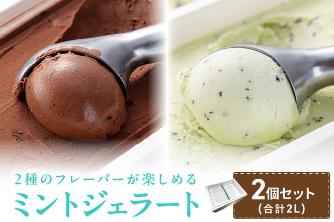 ykCksz~gWF[g1L 2×1 ( WF[g ACX ACXN[ nbJ `R ~g ~gACX XC[c `R`bv~g JJI ӂ邳Ɣ[ )y007-0017z
