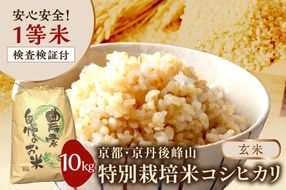 2025年産 京都・京丹後峰山 特別栽培米コシヒカリ 10kg 【玄米】 1等米 検査済証付　MF00051