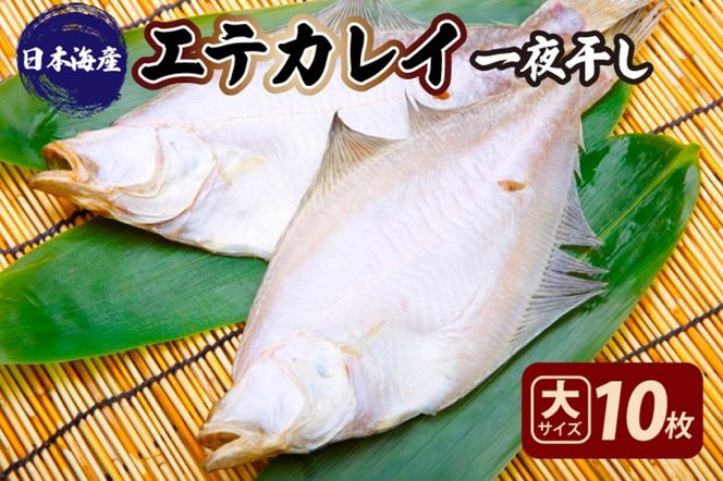 ys{OszyXꉟIiIs[gIzGeJC銱@TCYi[HTCYj10@YK00155