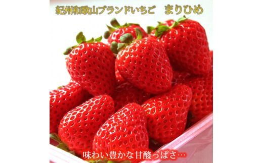  紀州和歌山ブランドいちご「まりひめ」約280g×2P　※2026年1月上旬頃～2026年3月上旬頃に順次発送予定（お届け日指定不可）/ いちご イチゴ 苺 果物 フルーツ まりひめ 【uot759】