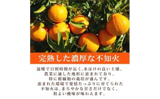 【先行予約】紀州有田産不知火(しらぬひ) 2.5kg　※2026年2月中旬頃〜2026年3月中旬頃に順次発送予定（お届け日指定不可）/みかん 不知火 和歌山 フルーツ 有田 果物【uot794】