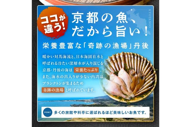 【定期便・3ヶ月】京丹後の地元魚屋が作ったお任せ干物セット（冷凍） FS00027