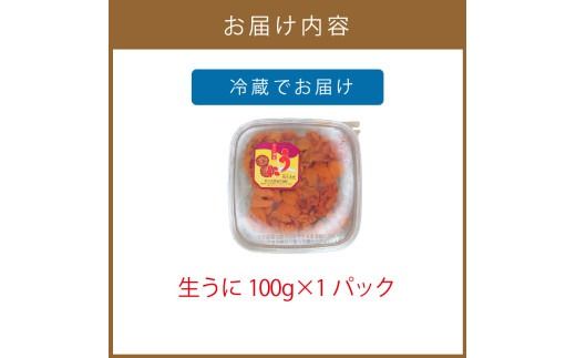 【予約：2026年4月中旬から順次発送】サロマ湖産 うに 100g ( ウニ 雲丹 100グラム 魚介 海鮮 期間限定 ふるさと納税 濃厚 うにご飯 北海道 北見市 )【113-0001-2026】
