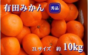 紀州有田みかん　秀品 約10kg　 ２Lサイズ　※2024年11月下旬頃より順次発送予定 【sml129】