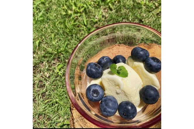 【先行予約／数量限定80】国産 京都丹後ブルーベリー 350g×2パック（2026年7月上旬～発送）　MB00002