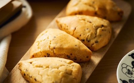 グルテンフリー 低糖質スイーツ カカオニブ入りプロテインスコーン 18個 / スイーツ スコーン 低糖質 ダイエット 朝食 お菓子 焼菓子 糖質オフ 個包装 ギフト（小麦粉・砂糖・トランス脂肪酸・人工甘味料・不使用）【LowCarbHouse 】