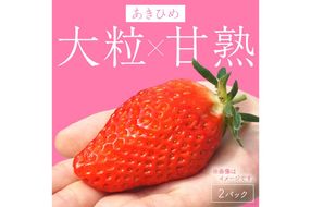 【京丹後産いちご章姫】農園直送便！新鮮大粒いちご 2パック ギフト箱入り／北畿水産　HK00159