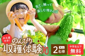 オーガニックファームでのんびり過ごそう！収穫体験&お土産付き(2名様分) BR00017