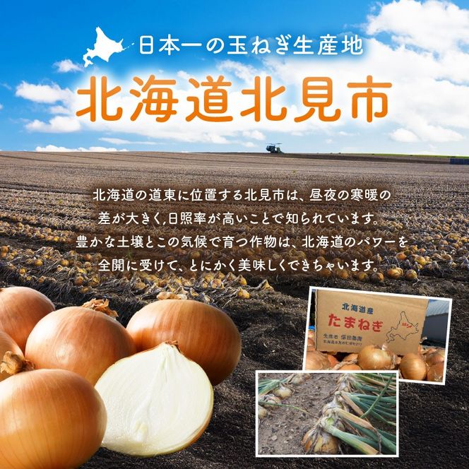 【予約：2026年10月中旬から順次発送】日本一の玉ねぎ生産地！信田農園の玉ねぎ 10kg Lサイズ ( 信田農園 野菜 玉ねぎ 玉葱 たまねぎ タマネギ 10キロ 北見のたまねぎ オニオン 野菜 甘い ふるさと納税 )【124-0006-2026】