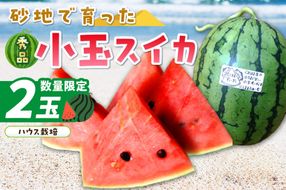 【先行予約／数量限定100】にしまるスイカ 秀品 2玉入り（ハウス栽培）（2026年6月中旬から発送）　FR00009