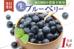 有機肥料で丹精込めて栽培した「ブルーベリー」1kg 栽培期間中農薬不使用 国産【JAほたるの里】_HA0273