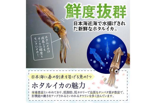 【先行予約】魚屋が漬けるホタルイカの沖漬け　6パック（1パック180g）計約1kg（2026年3月中旬～発送）　TB00044
