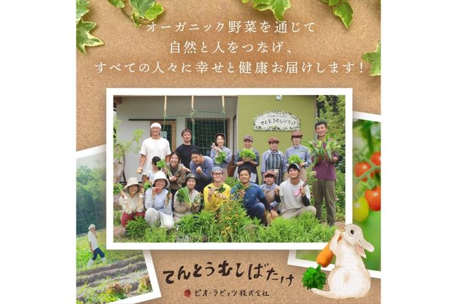 【先行予約：8月配送】＜てんとうむしばたけ＞夏のオーガニック野菜セット　有機野菜6～7種前後　BR00057_08