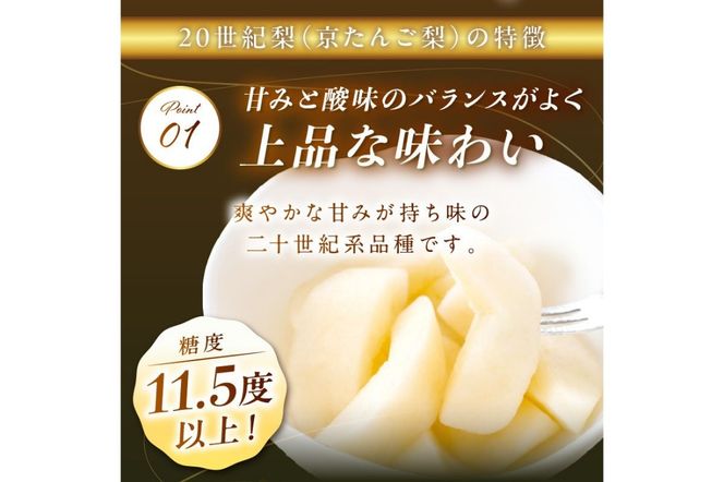 【先行予約／数量限定100】京のブランド産品・京たんご梨（20世紀梨） 5kg（2026年9月上旬～発送）　JK00036