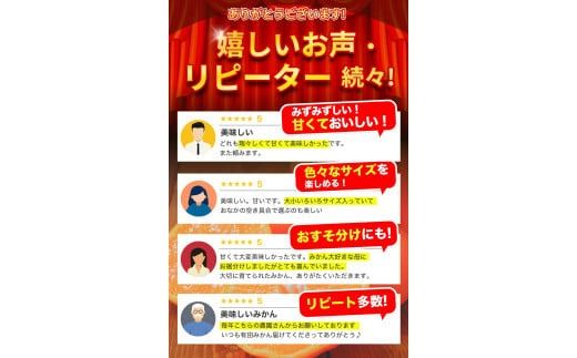 【2025年11月発送予約分】【家庭用】【農家直送】こだわりの有田みかん 約10kg＋250g(傷み補償分)  有機質肥料100%  サイズ混合　【11月発送】※北海道・沖縄・離島配送不可【nuk10