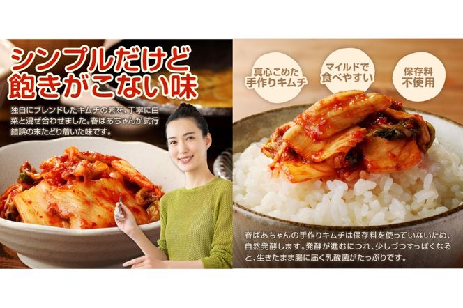 【A-840】春ばあちゃんの白菜キムチ1kg