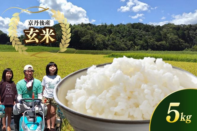 京都 丹後産コシヒカリ（玄米5kg） 農家直送 こしひかり お米 おこめ こめ ご飯 ごはん　MD00001