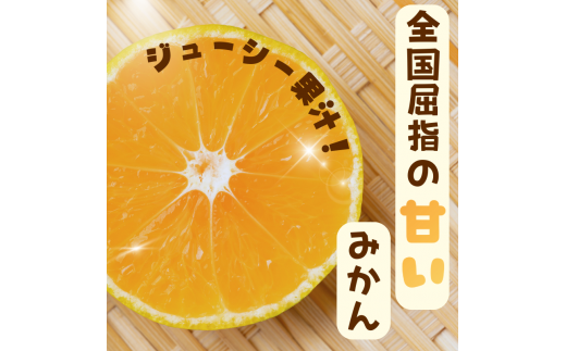 【訳あり】農家直送 有田みかん約5kg ご家庭用 サイズ混合 ※2025年11月中旬から2026年1月中旬までに順次発送予定（お届け日指定不可）※北海道・沖縄・離島への配送不可　訳ありみかん 温州みかん サイズ混合 有機質肥料100% ふるさと納税 柑橘 有田 産地直送 【nuk161D】