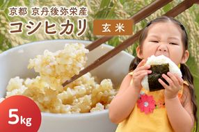 【先行予約】丹後弥栄産コシヒカリ（玄米5kg）コシヒカリ 玄米 おこめ おにぎり 京都産 お米 ふるさと納税 こしひかり　NF00005