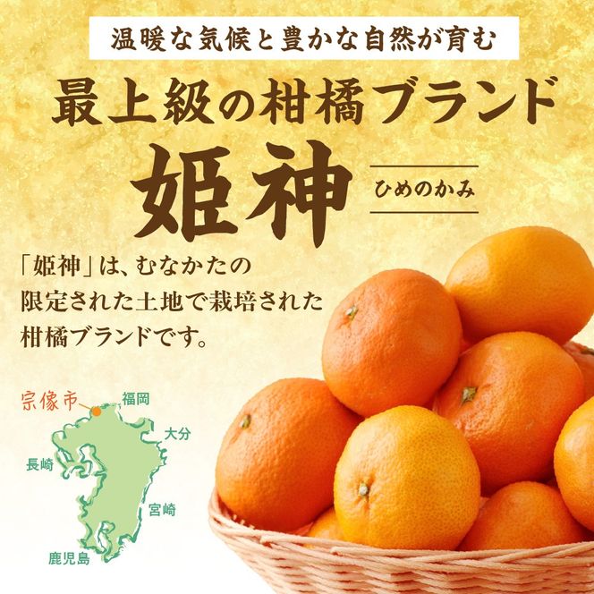 JAむなかたブランド「姫神」3kg 【2025年10月下旬～12月発送】【ほたるの里】_HA1346