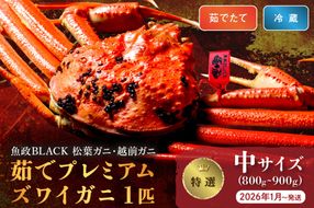 【蟹の匠 魚政】茹で　プレミアムズワイガニ 魚政BLACK（松葉ガニ・越前ガニ）特撰 中サイズ（800～900g） 1匹 (2026年1月～発送)　UO01297