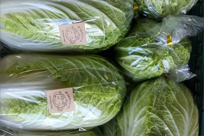 	【先行予約】京都・まつみやファームの京都の野菜秋冬セット（5品）（2025年11月上旬〜発送）　MY00002