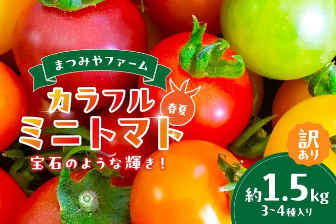 ys{Oszys\z󂠂 ΂̂悤ȋPIJt~jg}g 1.5kgitāji2026N5{`j@MY00012