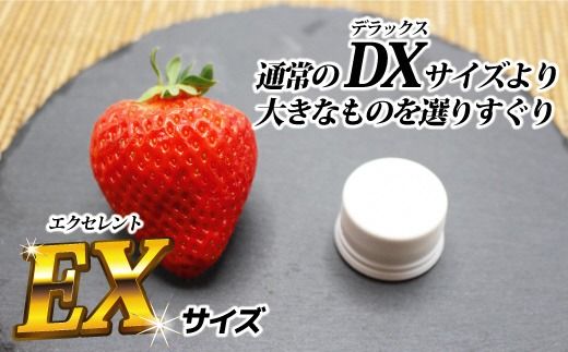 12月発送！「博多あまおう」EX　贈答用化粧箱　約450g 1箱【ほたるの里】_HA0754